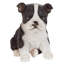 Statue Boston Terrier chiot partenaire