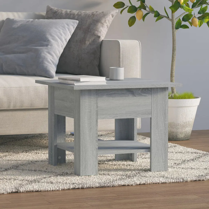 Glass End Table with Storage, 21.7"x21.7"x16.5", Gray sonoma