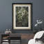 «Flower Blossom Blossom Tree Green Wild Flower Nature», reproduction d'art encadrée-91356227-91356223