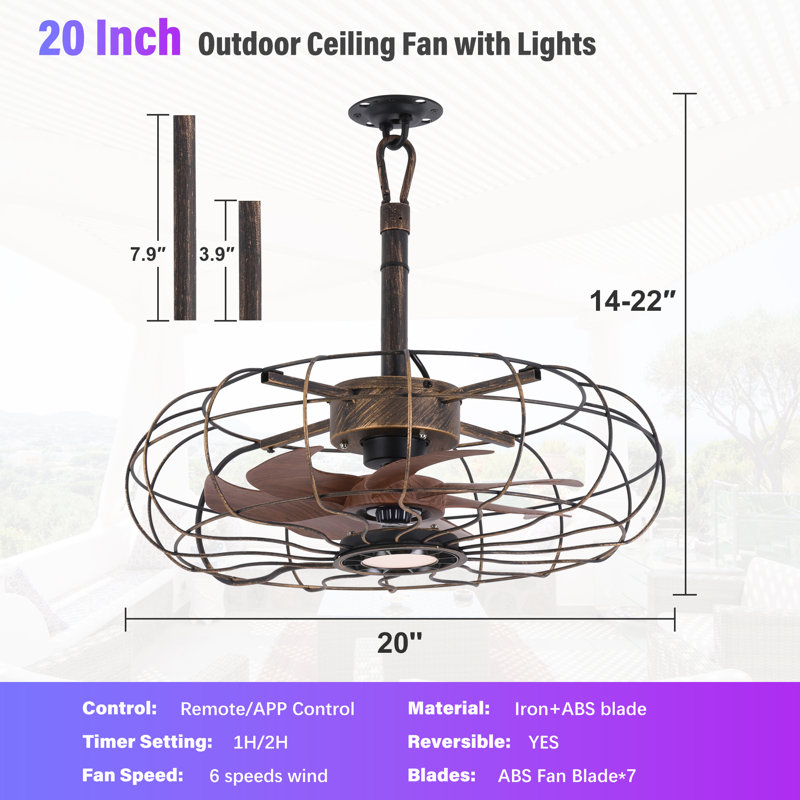 Ventilateur de plafond suspendu 15 "avec lumière, Noir brossé doré, 20"