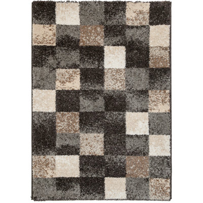 Risher Geometric Shag Area Rug