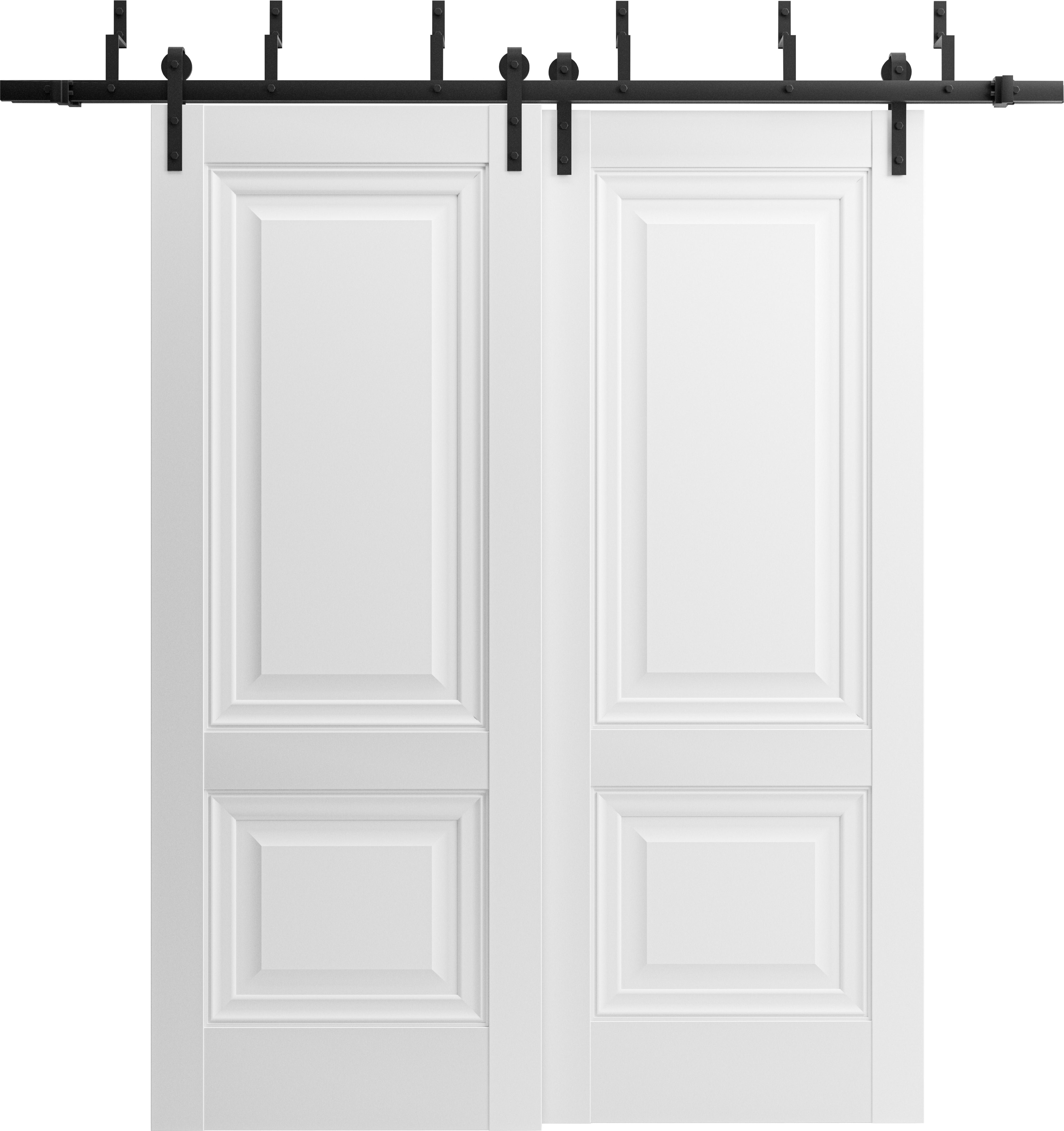 SARTODOORS Lucia Paneled Wood Sliding Closet White Doors | Wayfair