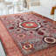 Aryana Wool Oriental Area Rug