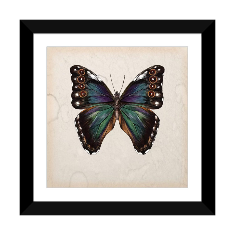 «Butterfly Study III», impression sur toile, Papier beaux-arts encadré noir, Blanc, H 16 po x l 16 po x P 1 po