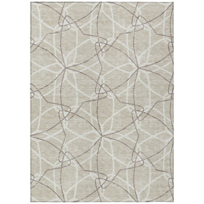  Alegandro Area Rug with Non-Slip Backing