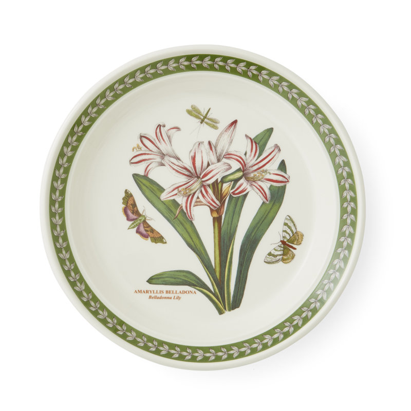 Botanic Garden Etchings, Set Of 6, 8" Plates
