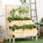 Raised Garden Bed with Trellis