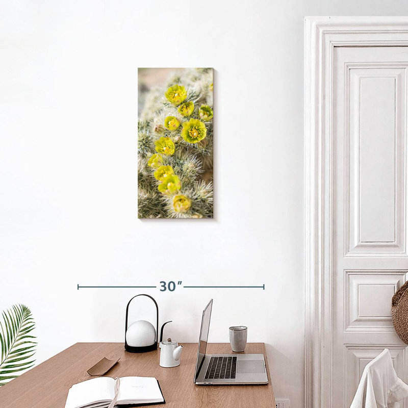 Silver Cholla Cactus, 24" H x 12" W