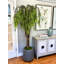 Faux Weeping Willow Tree Plant in Fiberstone Planter