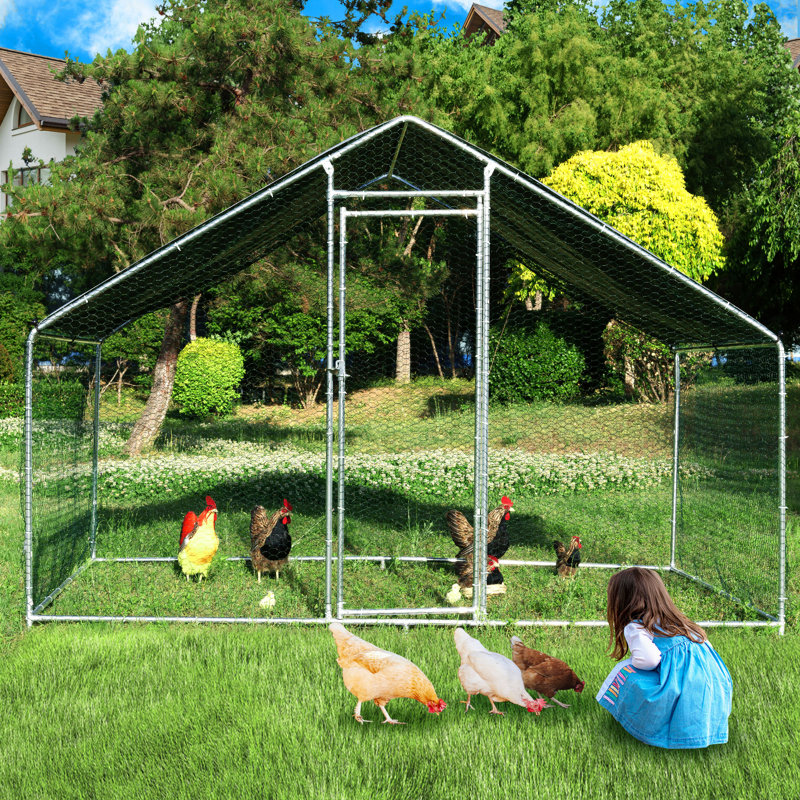 Chicken Coop