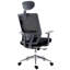 Executive Chair with Headrest-38961377