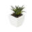 2'' Faux Cactus Succulent in Glass Pot