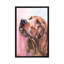 « irish setter », impression sur toile-72126153-72126146-32499109