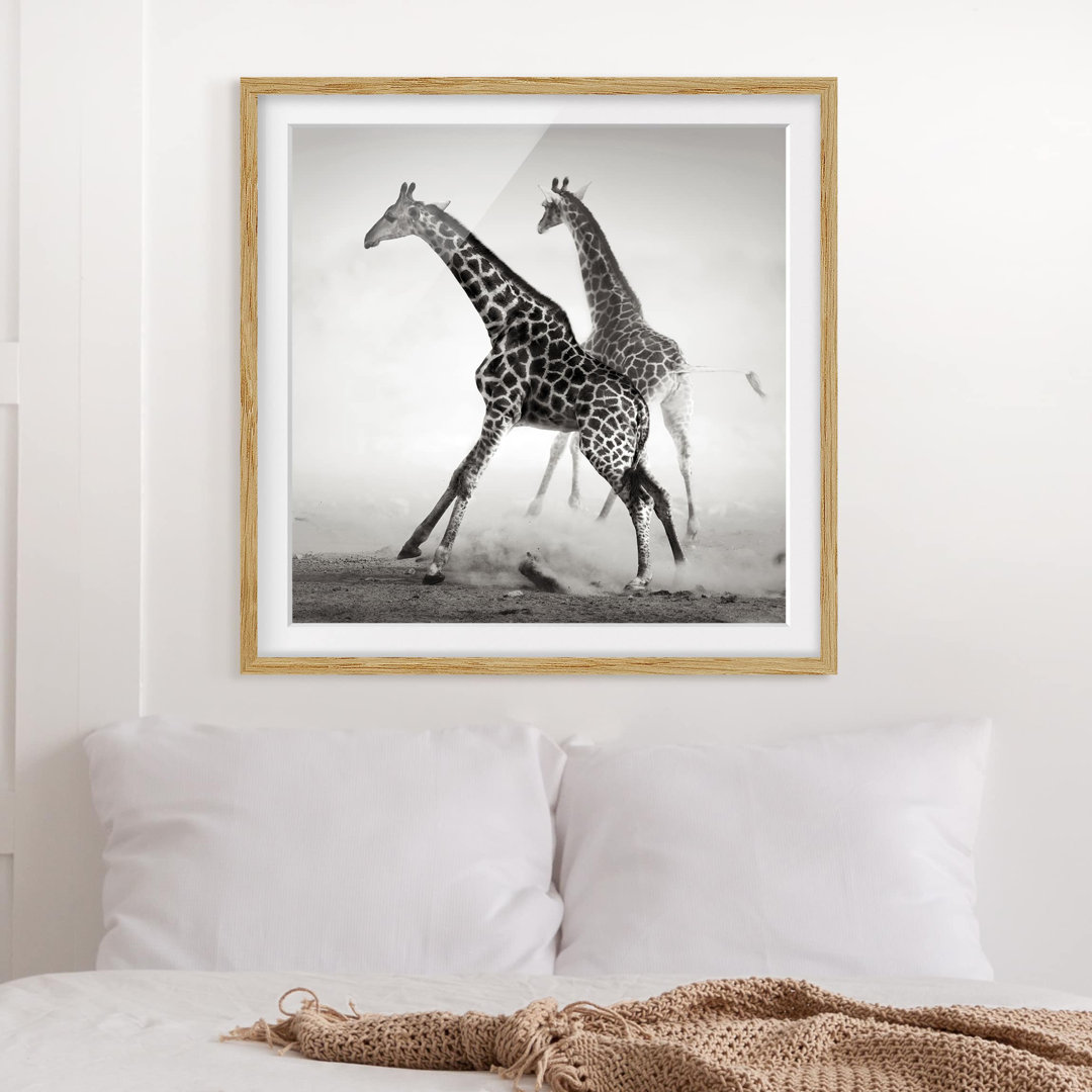 Gerahmtes Papierbild Giraffenjagd