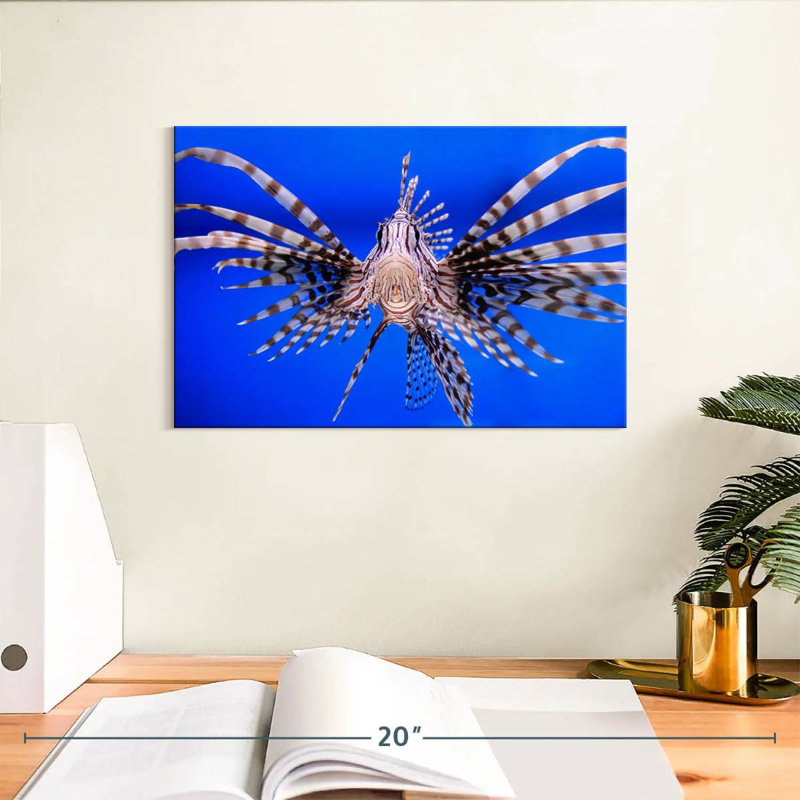 Crowle Lionfish Close Up, 8" H x 12" W