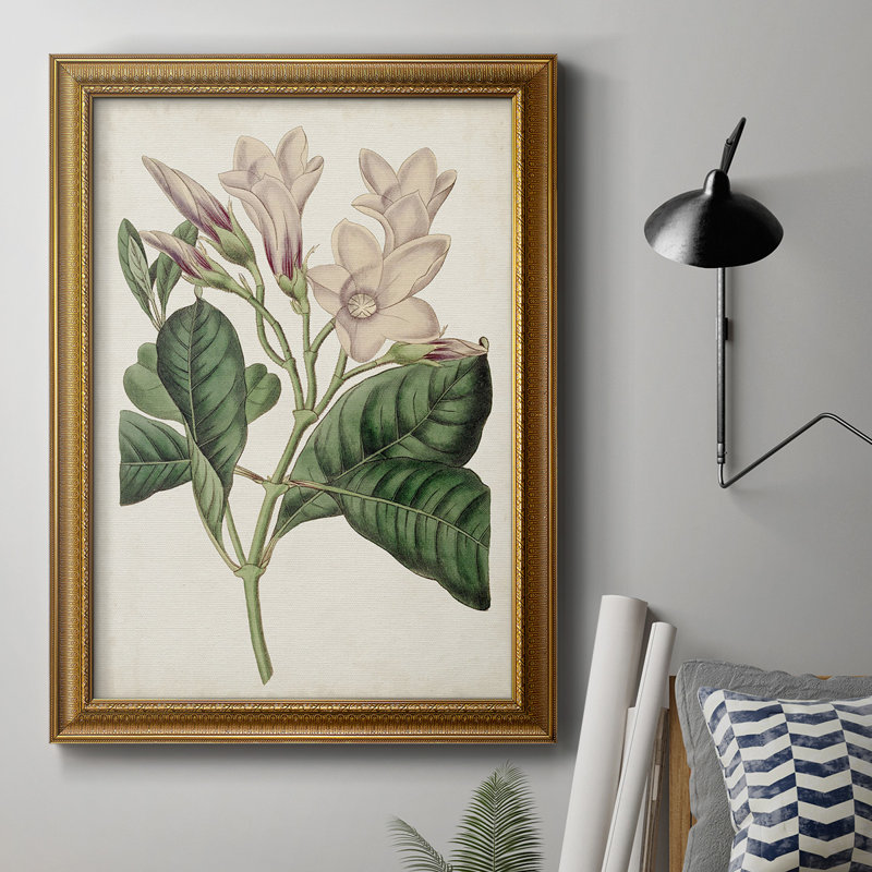 Toile encadrée de qualité supérieure Antique Botanical Collection, H 20 po x l 16 po