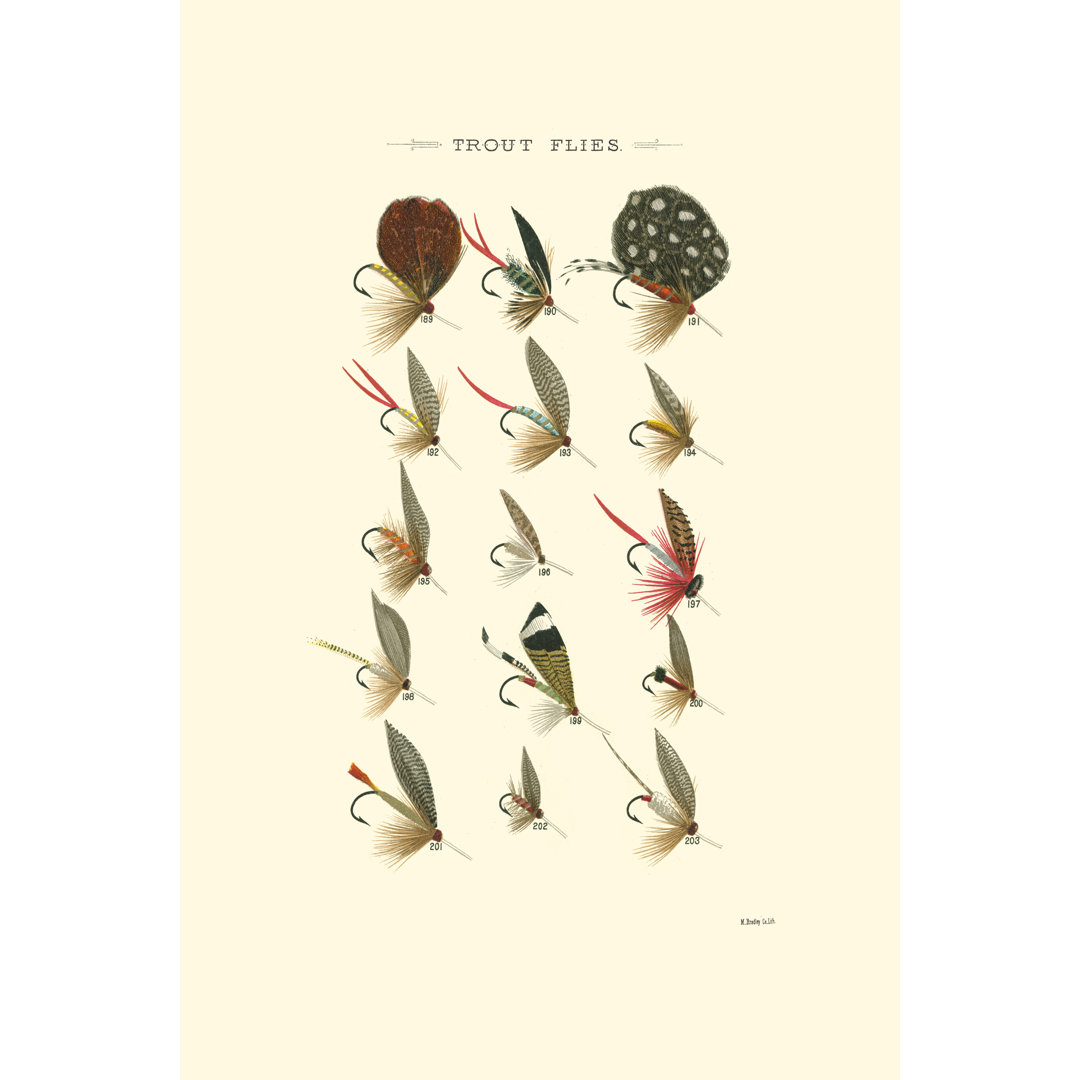 Trout Flies II by Vision Studio - Wrapped Canvas Art Prints