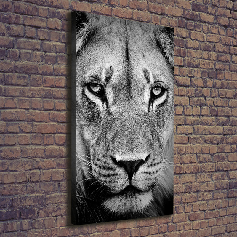 Portrait Of A Lion - Wrapped Canvas Print
