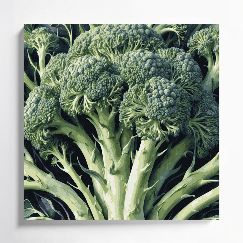 Légumes, fleurs de broccoli sur toile, art mural vert, H 16 po x l 16 po