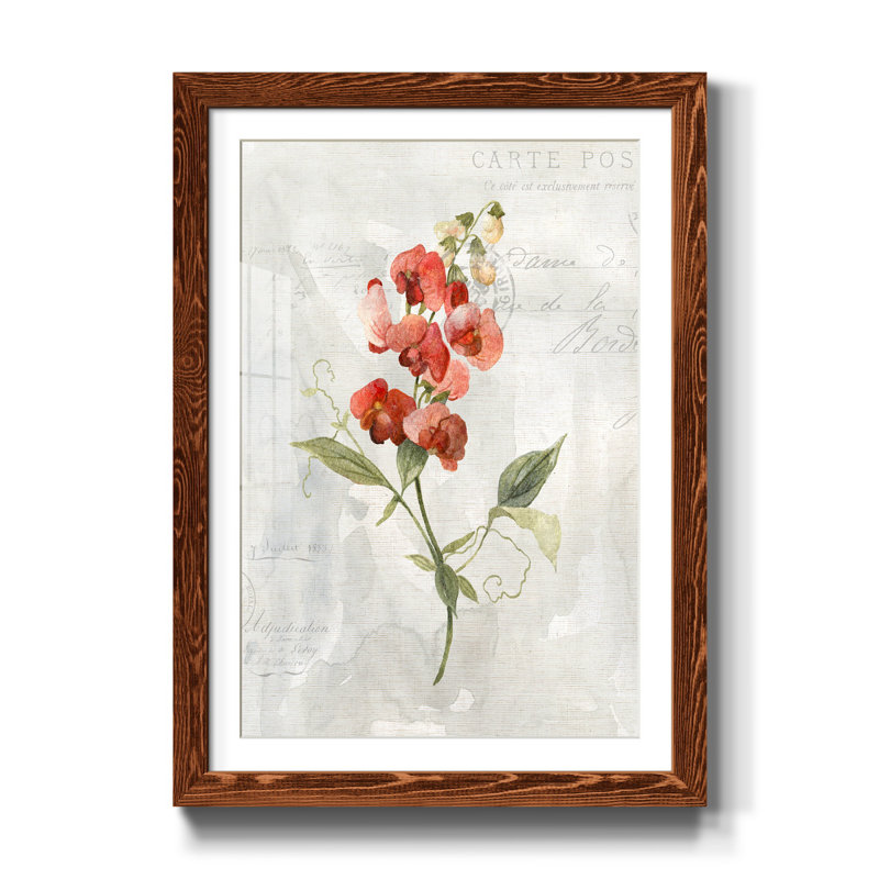Lin Pois doux - Reproduction d'art graphique sur papier encadré, Érable, H 44 po x l 31 po x P 1 po