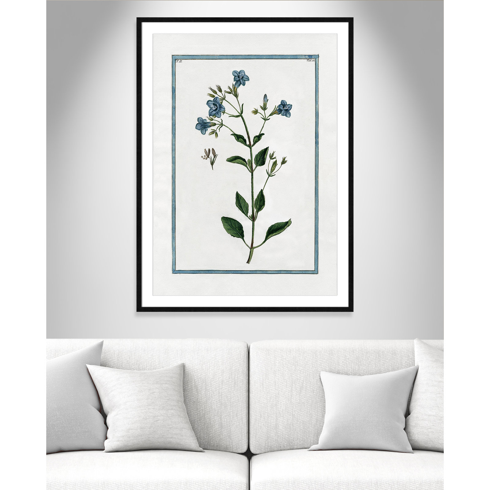 Shabby Elegance Botanical II - Framed Art, Black Framed, 29.5" W x 41.5" H