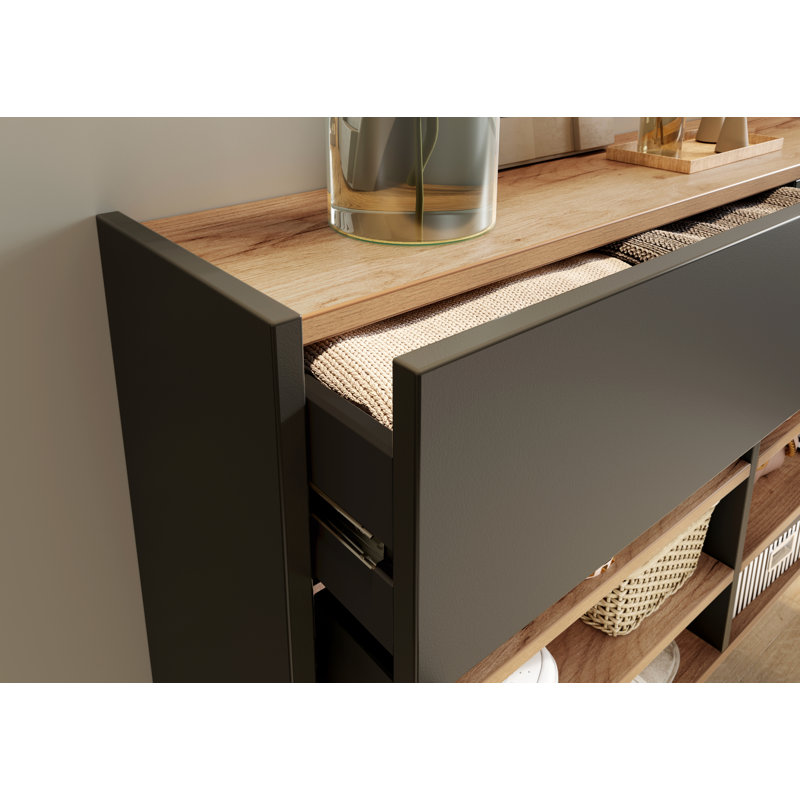 Nyack 12 Pair Shoe Storage Cabinet, Graphite