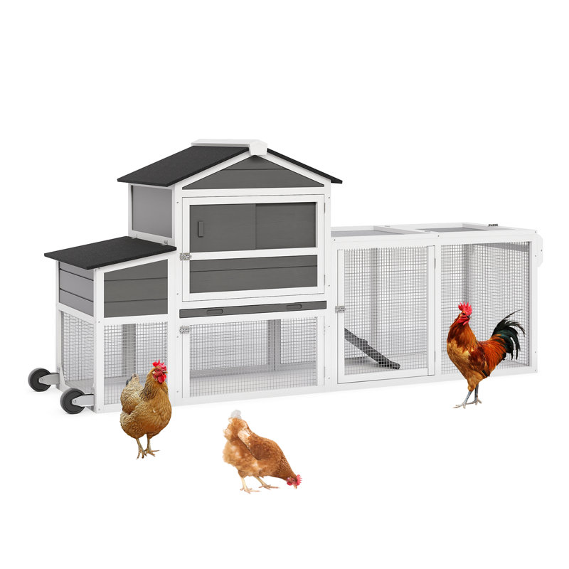 Chicken Coop