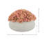 Rizal Faux Sedum Plant in Fiberstone Pot