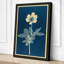 Classical Study Botanical 1 Piece Wrapped Canvas Wall Art-2019010780-2019010782
