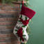 Hooked Cardinal Stocking