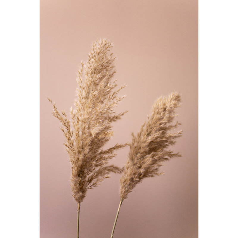 Wrapped Canvas Print, 76.2 cm H x 50.8 cm W