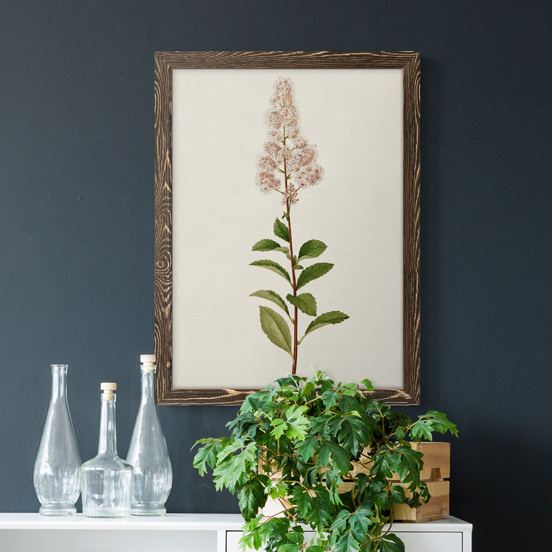 Mauve Garden Flowers II - Single Picture Frame Painting on Canvas, Walnut Framed, 17" H x 20" W x 1" D