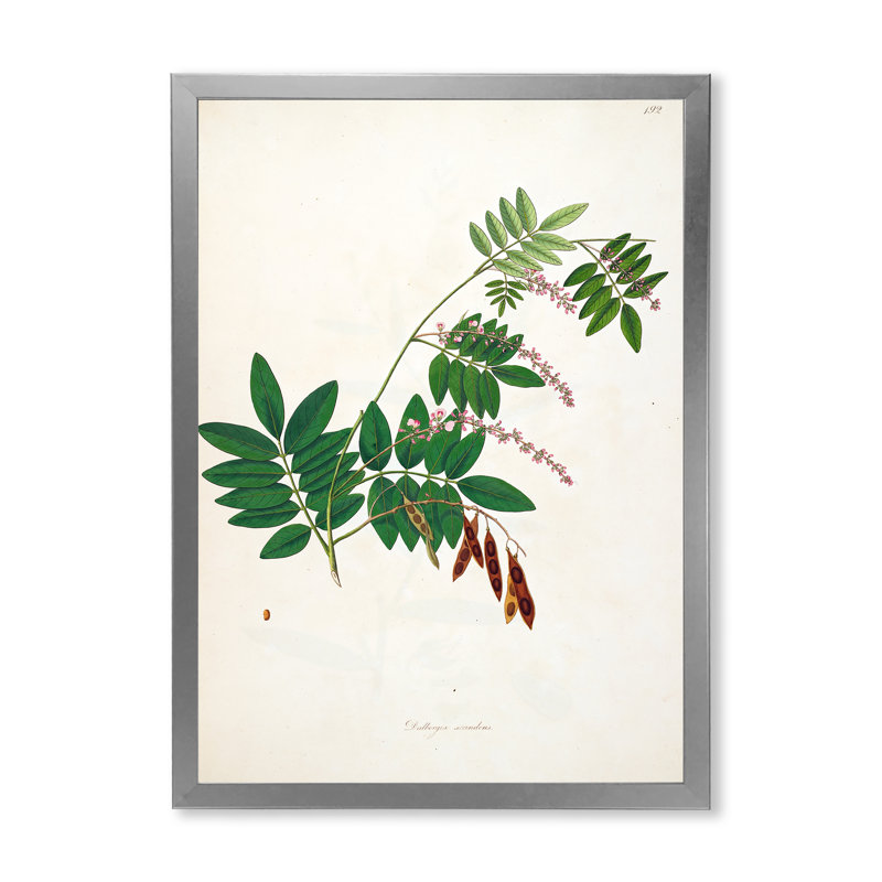 Botanique rétro - peinture sur toile, H 32 po x l 16 po x P 1 po, Cadre photo argenté