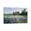 Evening At The Iris Field by Timothy Easton - Wrapped Canvas Painting-1431769843
