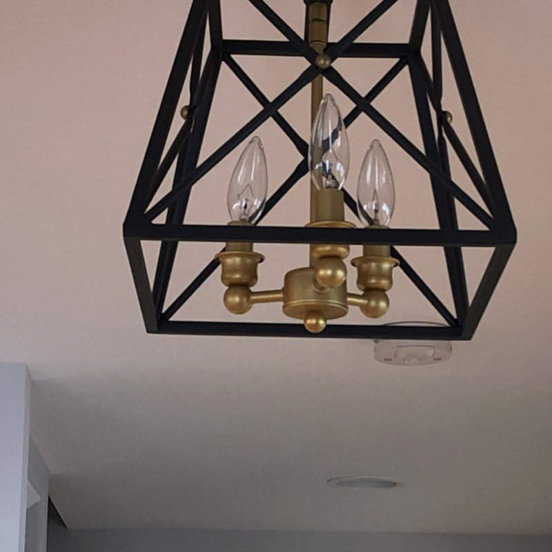 Customer review by Dorothy