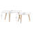 Chay 2 Piece Coffee Table Set