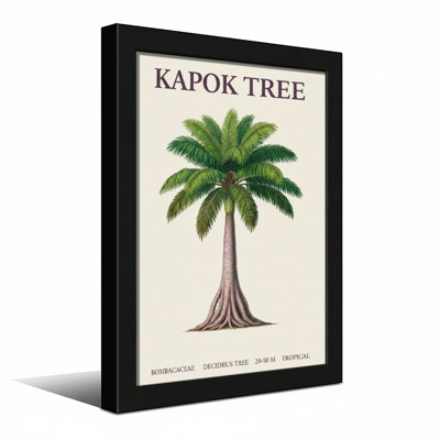 Plantes et fleurs Kapok Tree Botanical Illustration
