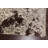 One-of-a-Kind 8'0'' X 10'1'' New Age Area Rug in Brown