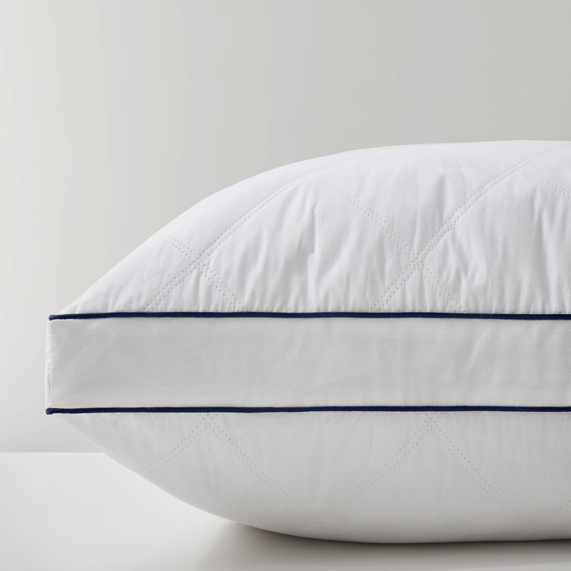  Oreillers de qualité supérieure en duvet d'oie et en duvet (ensemble de 2) - Coquille 100% coton respirante, coussins décoratifs moelleux