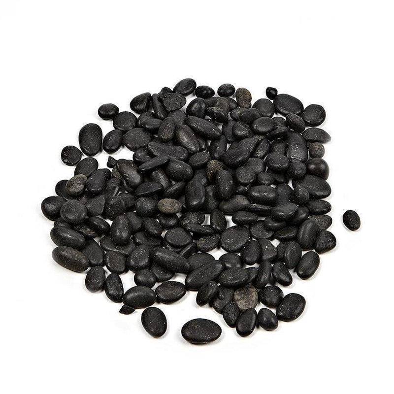 Remplisseur de vase Tomicia, H 0,2 po x l 0,2 po x P 0,2 po, Noir, noir, noir, noir