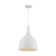Bellingham 1 - Light Single Pendant