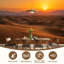 Papier peint adhésif auto-adhésif amovible coucher de soleil coucher de soleil désert pour chambre à coucher H 100 po x l 144 po-129490715