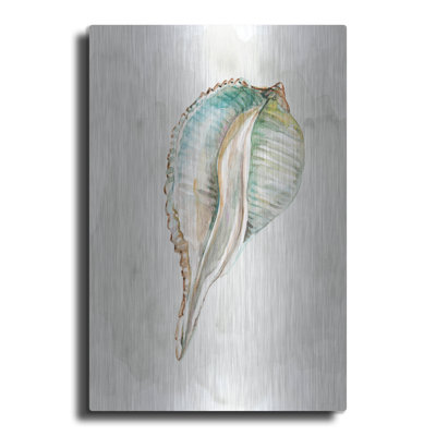 Pastel Shell I par Carol Robinson