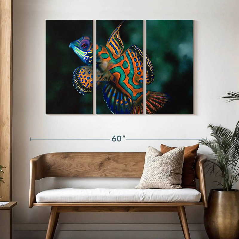 Brampt Mandarin Dragonet, 32" H x 50" W
