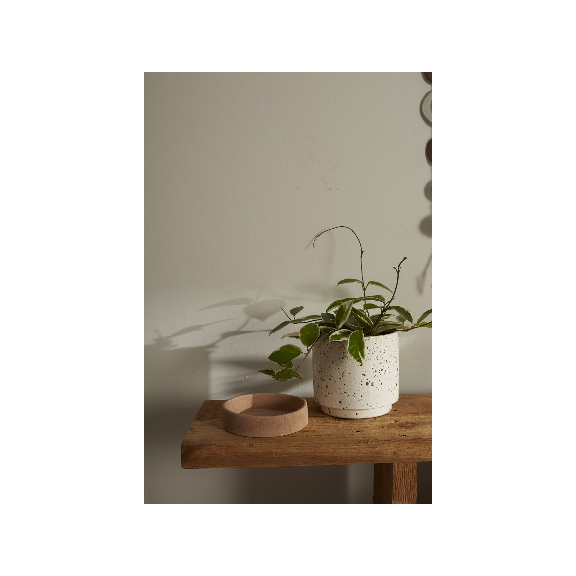 Kaesha Handmade Ceramic Pot Planter, 6.75" H x 6.5" W x 6.5" D