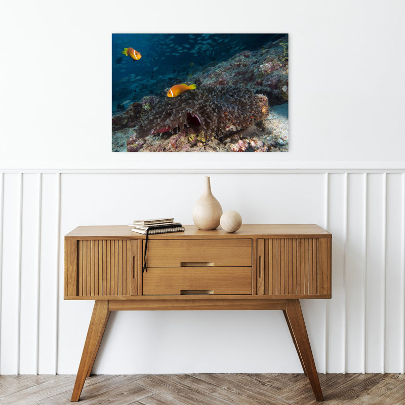 «Orange Clownfish in Anemone», impression d'art mural coloré de nature pacifique, 16" H x 24" W