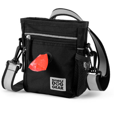 Day/Night Walking Bag
