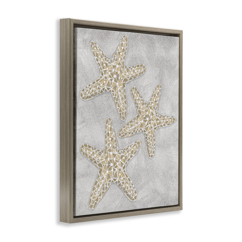 Cadre flottant gris avec étoile de mer, design par Patti Bishop, H 31 po x l 25 po, Cadre flottant orme Montalcino