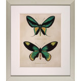 Bejeweled Butterfly I Print