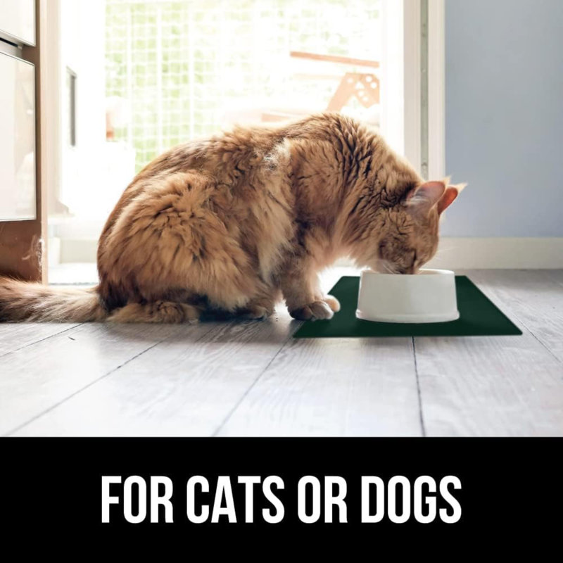 Anti-Skid Placemat, Green